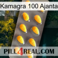 Kamagra 100 Ajanta cialis1